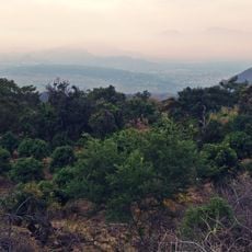 Balsas Dry Forests Ecoregion