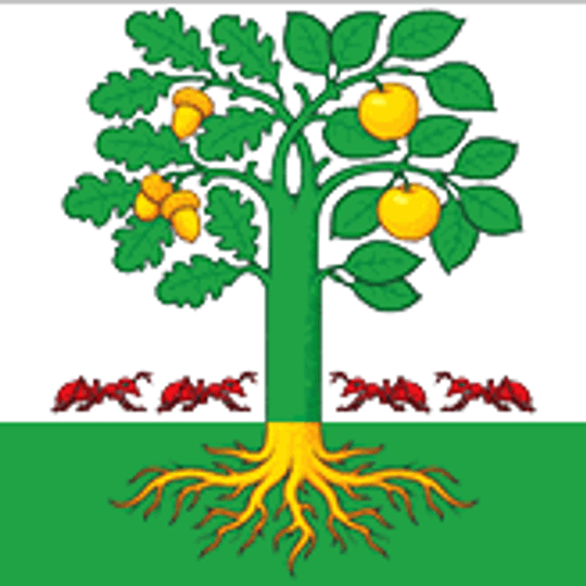 Сельское поселение Алакаевка