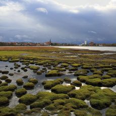 NSG Neustädter Binnenwasser