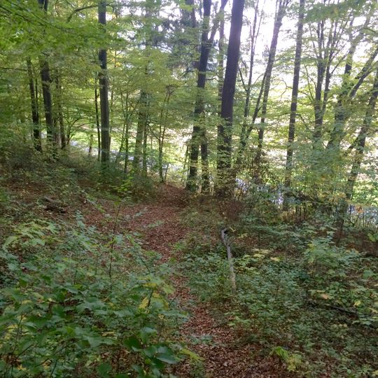 Römische Siedlung und Hügelgräber Martinhofstraße