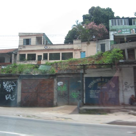 Acari