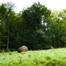 Hornopožárský les