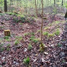 Welscher Berg Roman watchtower