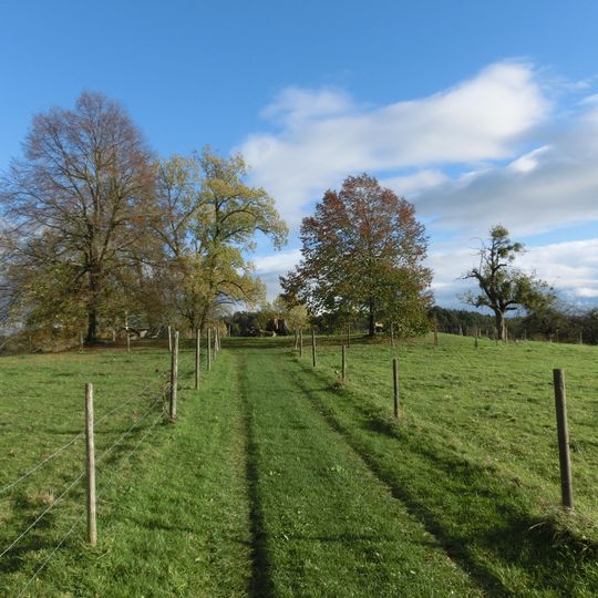 Höhe 493,8 südlich Tettnang bei Schäferhof
