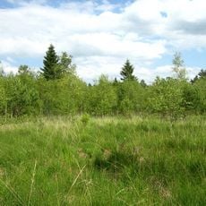 Großes Moor bei Dänschenburg