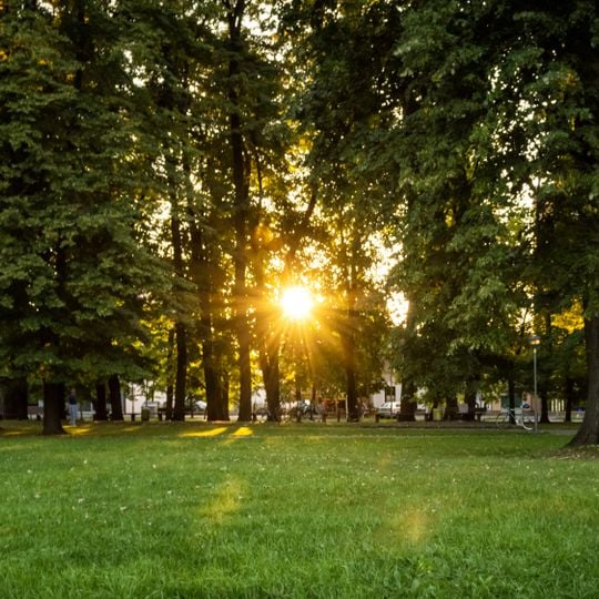 Park Mladen Stojanović