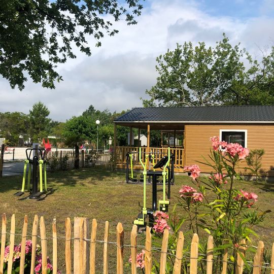 Camping Pleine Forêt