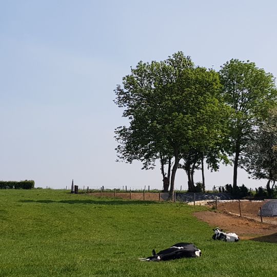 Pierre de frontière Belgique-Pays-Bas no. 37