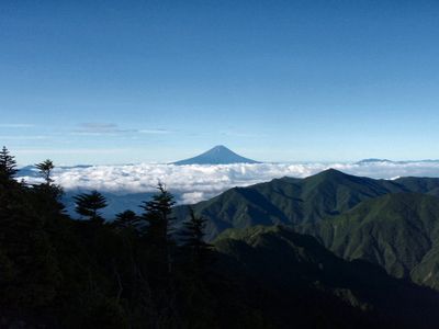 The view 1
