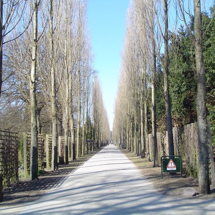 Cementerio Assistens