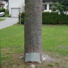 Römischer Meilenstein