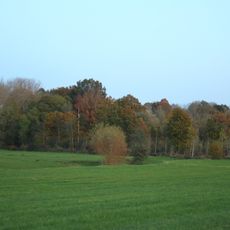 Bertelbos