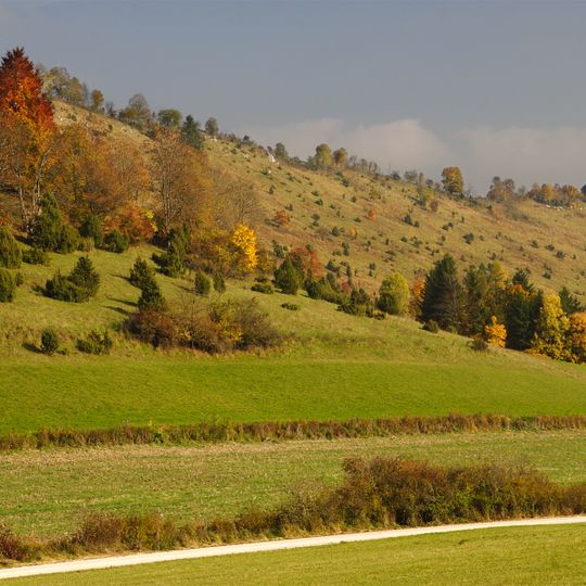 Buttenhausener Eichhalde
