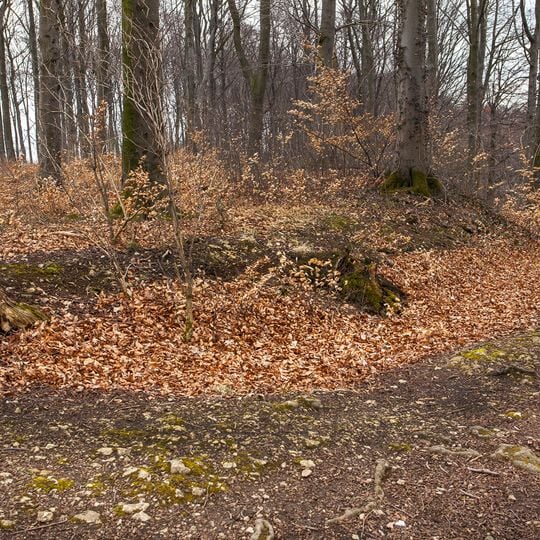 Römische Kreisgrabenanlage auf der Sparrenberger Egge