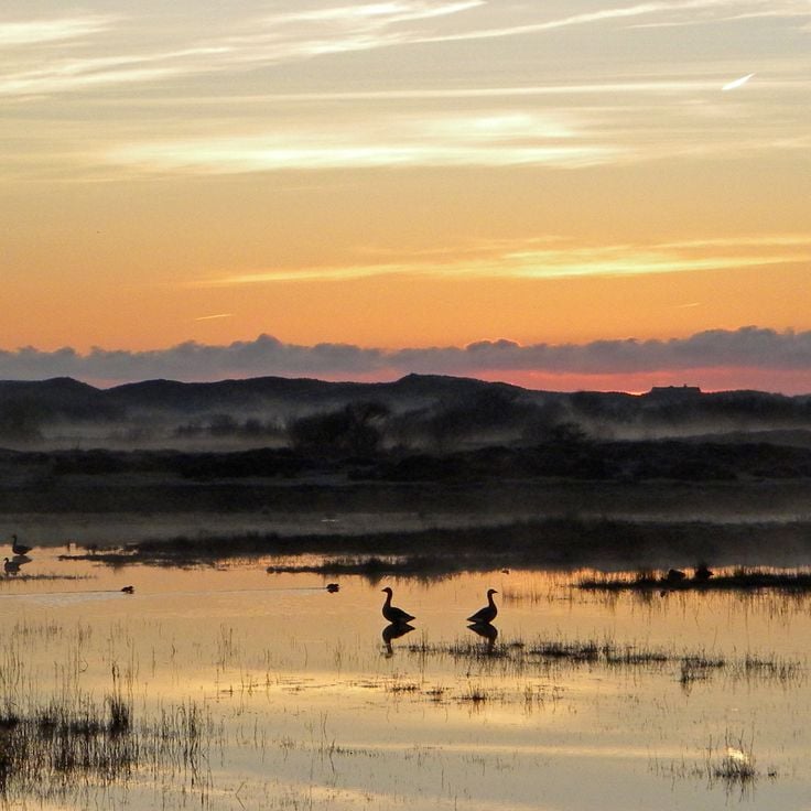 Nationaal Park Duinen van Texel