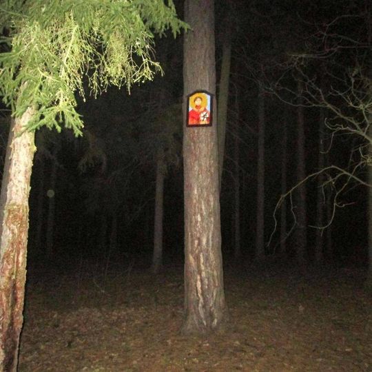 Obrázek v lese u rozcestí severně od Tlučné