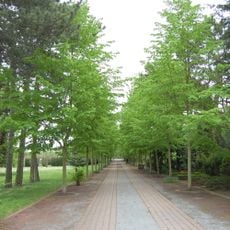 Friedhof Salbke