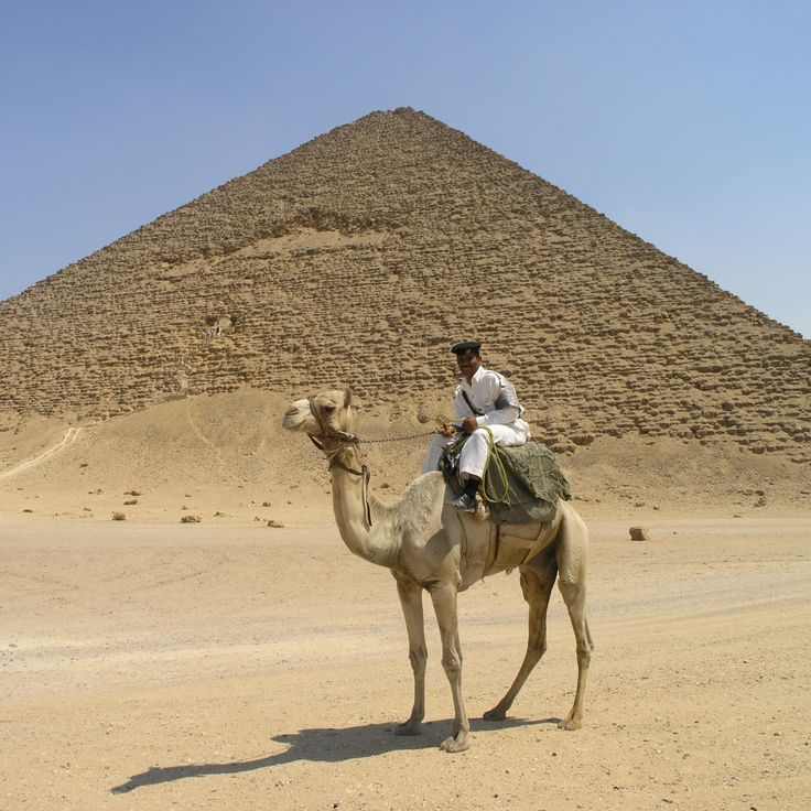 Koninklijke necropolis