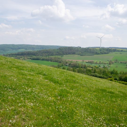 Loess-Hangzone am Stockberg