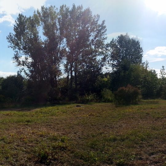 Park przy ul. Konnej w Łodzi