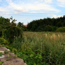 Ogrody gospodarcze (teren)