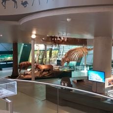 Lower Austria Museum