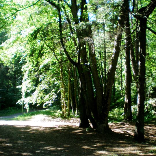 Antakalnis Landscape Reserve