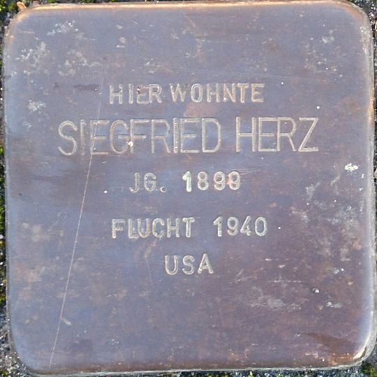 Stolperstein à la mémoire de Siegfried Herz