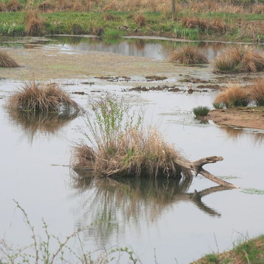 Naturschutzgebiet Graf-Dietrichs-Weiher bei Fischborn