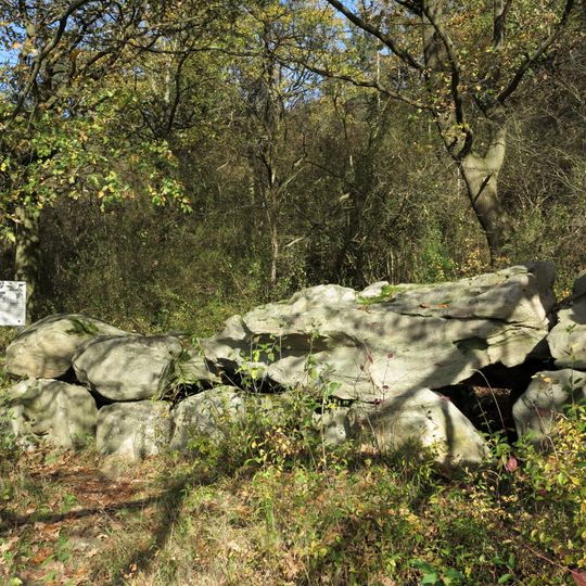 Steinkammer von Groß Steinum