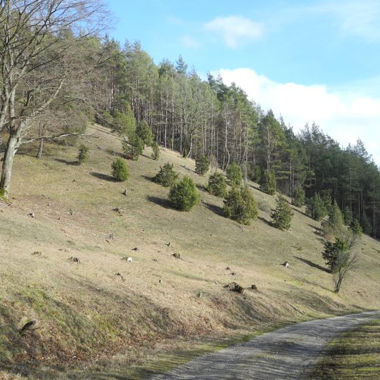 Naturschutzgebiet Reichenbacher Kalkberge