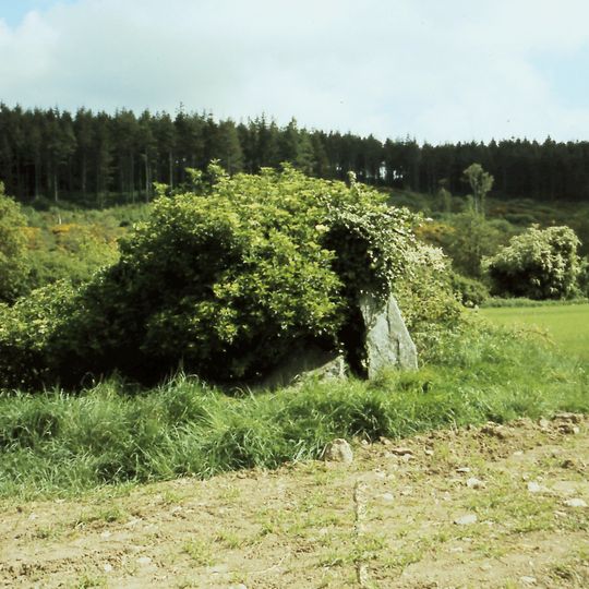 Portal Tomb von Brittas