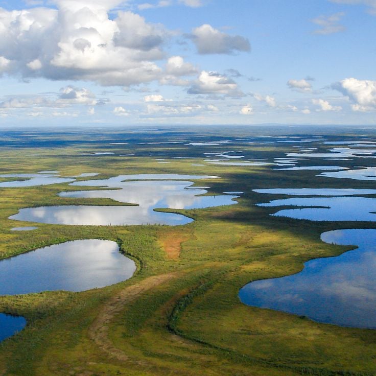 Vuntut nasjonalpark