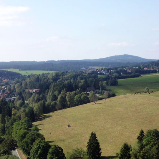 Tanne
