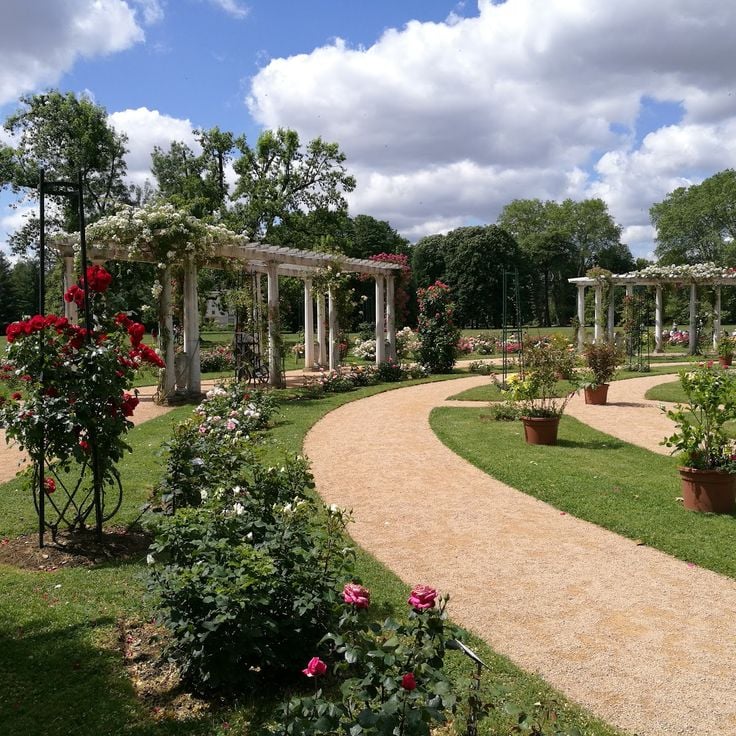 International Rosepark