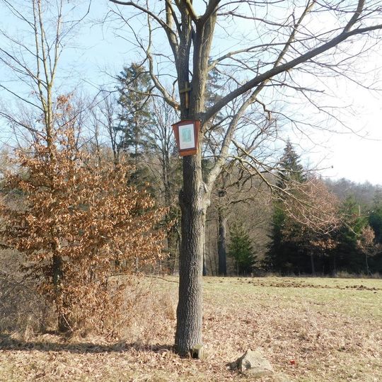 10. zastavení křížové cesty Ondřejov - Kaliště