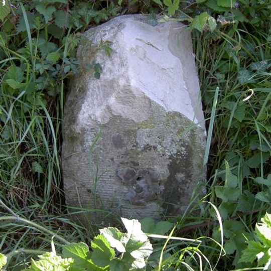 Milestone 200 Metres East South East Of Whiteflood Farmhouse