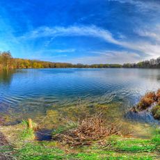 Gießener Bergwerkswald
