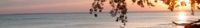 Panoramic View 1