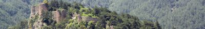 Panoramic View 0