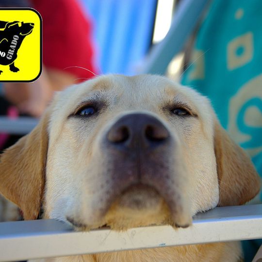 Spiaggia di Lido di Fido