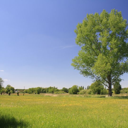 Kalktuffgelände am Tegeler Fließ