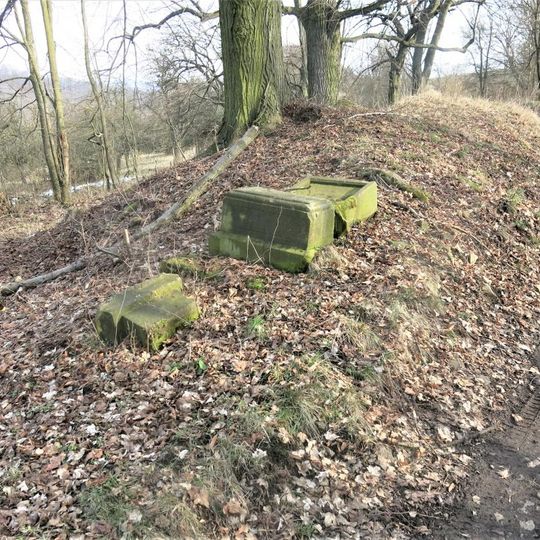 Kříž na jižním okraji Českého Bukova