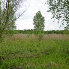 Isaraltwasser bei Neutiefenweg