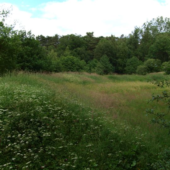 Burgwall Hollenstedt