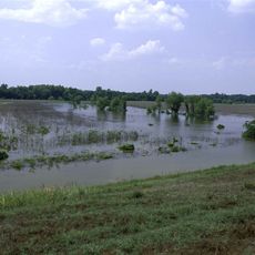Panther Swamp National Wildlife Refuge