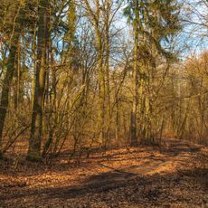 U Pohránovského rybníka