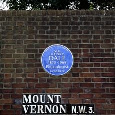 Garden Wall To Mount Vernon House