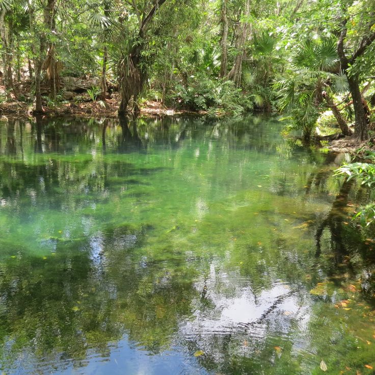 Chikin Ha Cenote Park