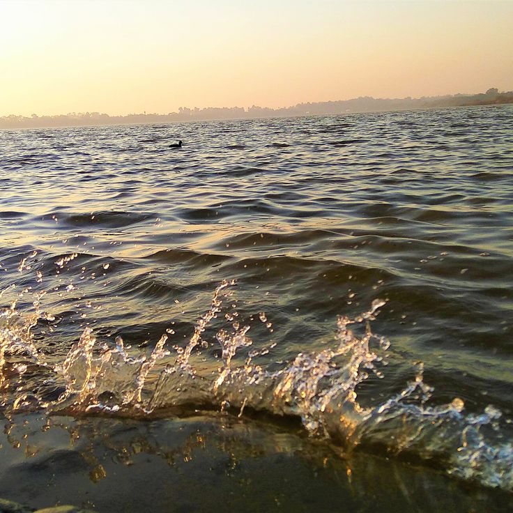 Sukhna Lake